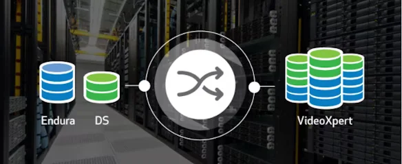 Migrate to VideoXpert